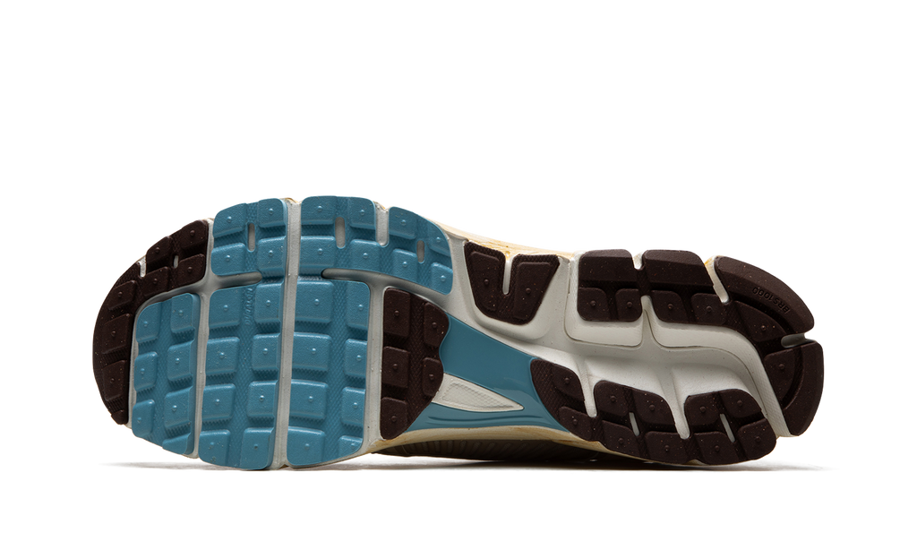 VOMERO 5 MNS WMNS "Oatmeal" FB8825 111
